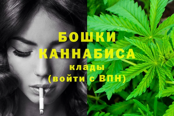 гидра Белоозёрский