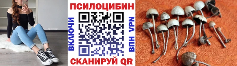 Псилоцибиновые грибы MAGIC MUSHROOMS Мценск